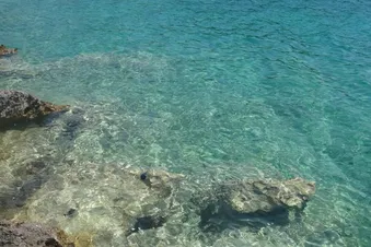 Tagesausflug ans Meer ab Klagenfurt - auf Anfrage