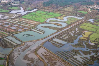 Bassin d’Arcachon & Saint-Émilion (+ dégustation 🦪🍷)