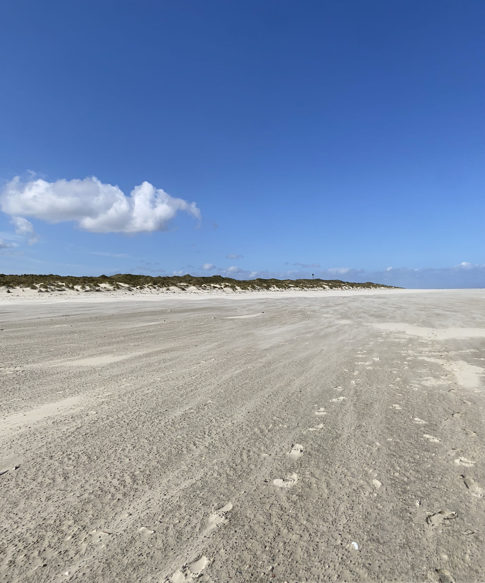 Frankfurt Texel direkt und abends zurück oder bleiben