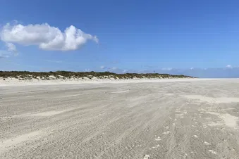 Frankfurt Texel direkt und abends zurück oder bleiben