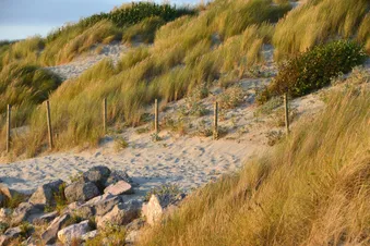 Excursion flight: Trip to Northern France