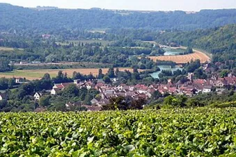 Venez faire les saumons avec moi au dessus de la Marne !
