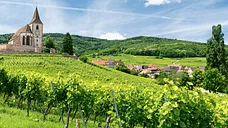 Découverte de Colmar : châteaux, vignes, winstubs - St-Cyr