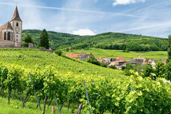 Vol : Weekend / semaine en Alsace visite Mulhouse / Bâle