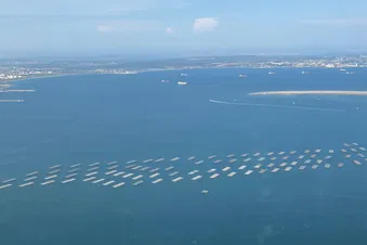 Une escapade en Camargue