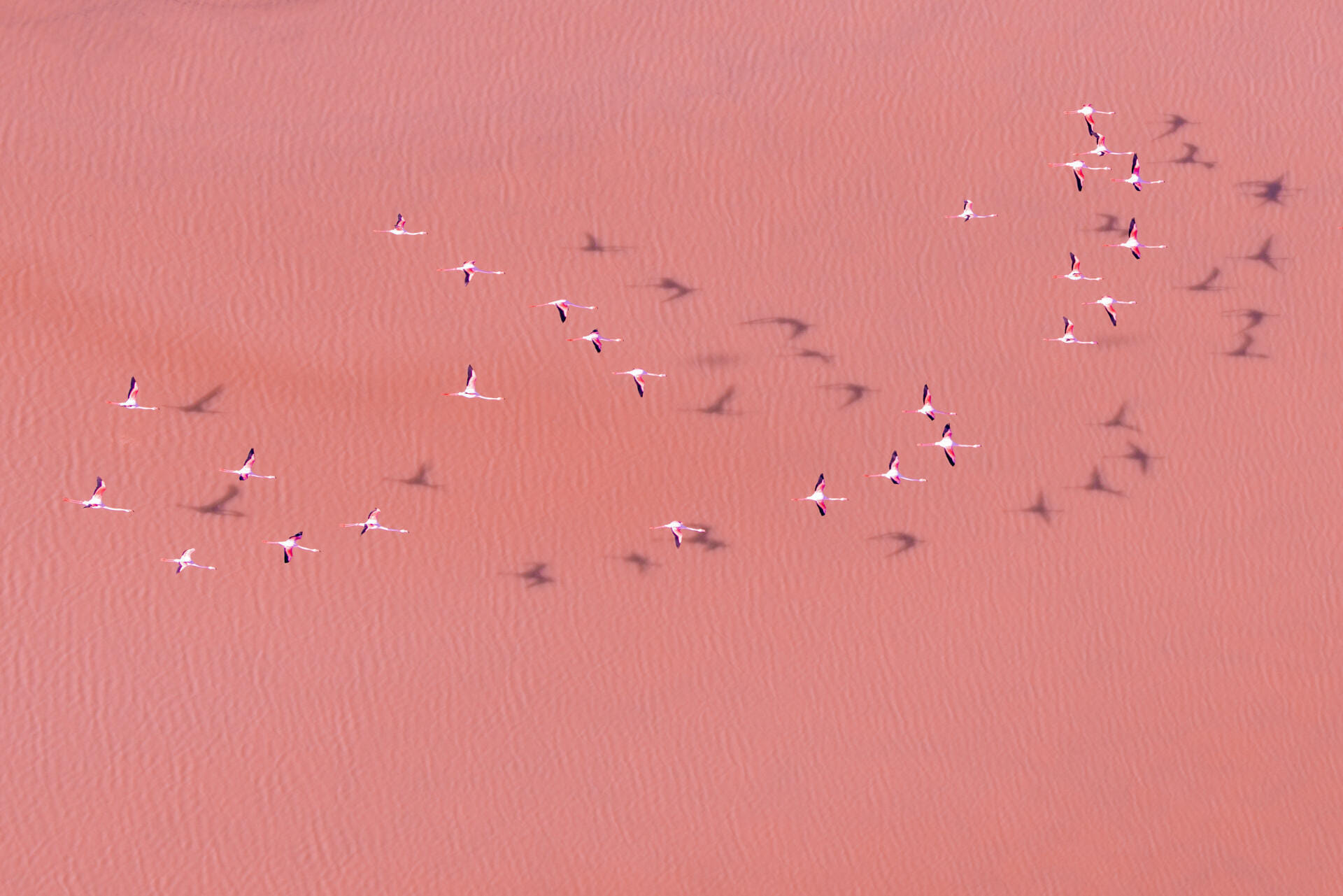 Survol du littoral - Réserve Naturelle de Camargue en hélico