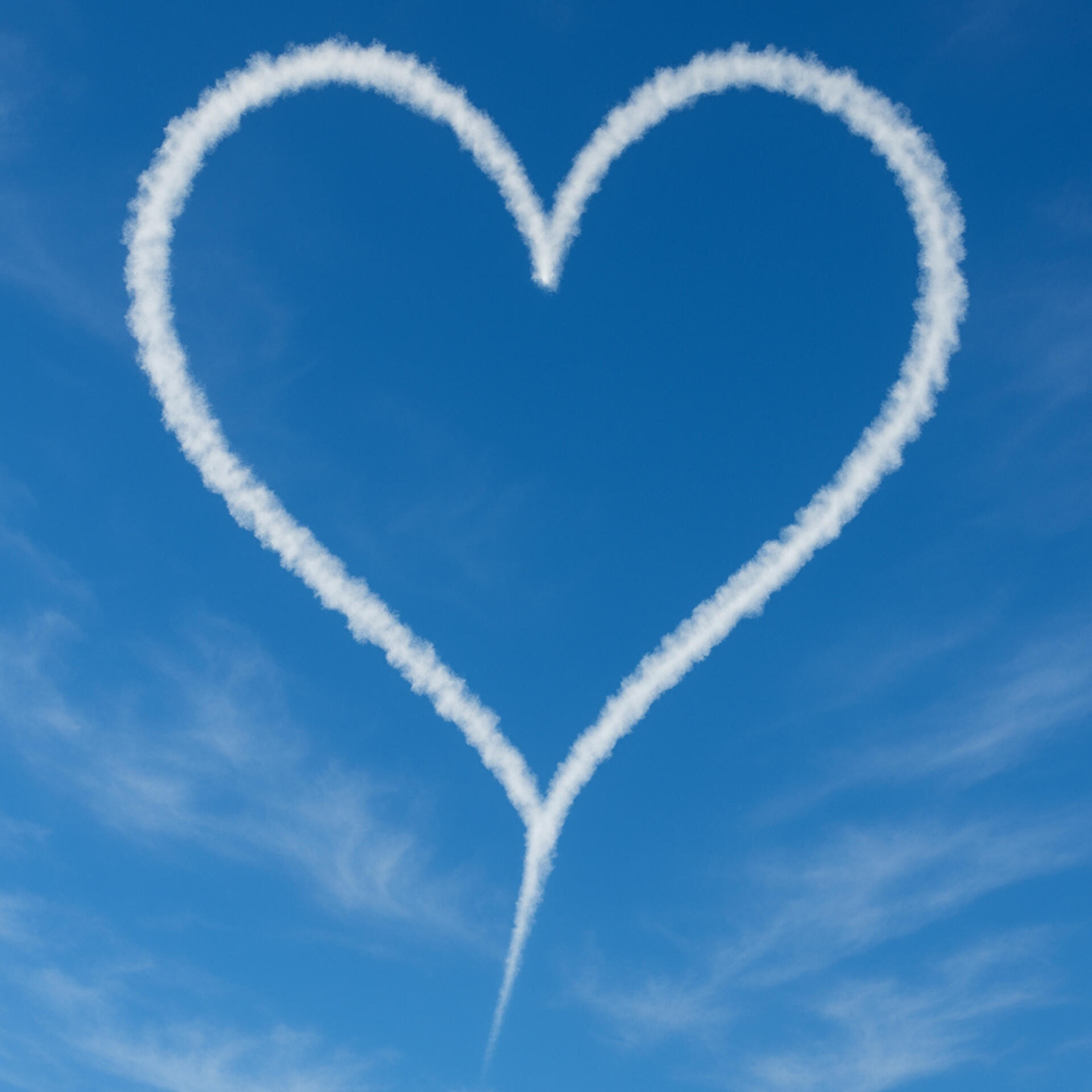 Marry Me! - der besondere Heiratsantrag im Flugzeug!