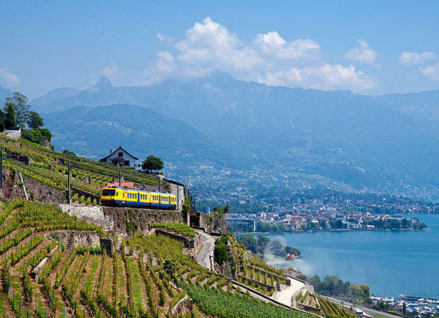 Lavaux et riviera vaudoise