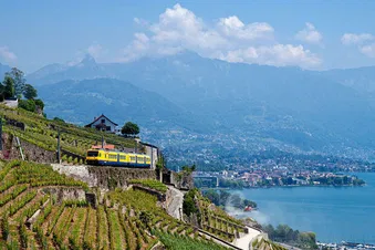 Lavaux et riviera vaudoise