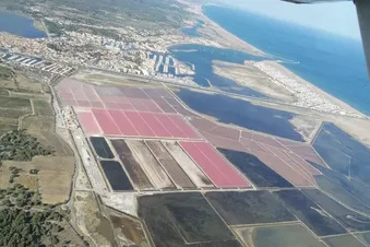Salins de Gruissan