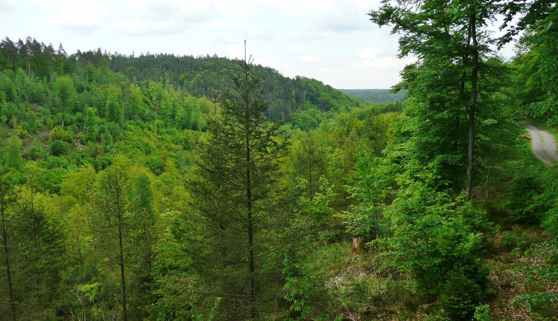 Schnupperflug vom Flughafen Stuttgart