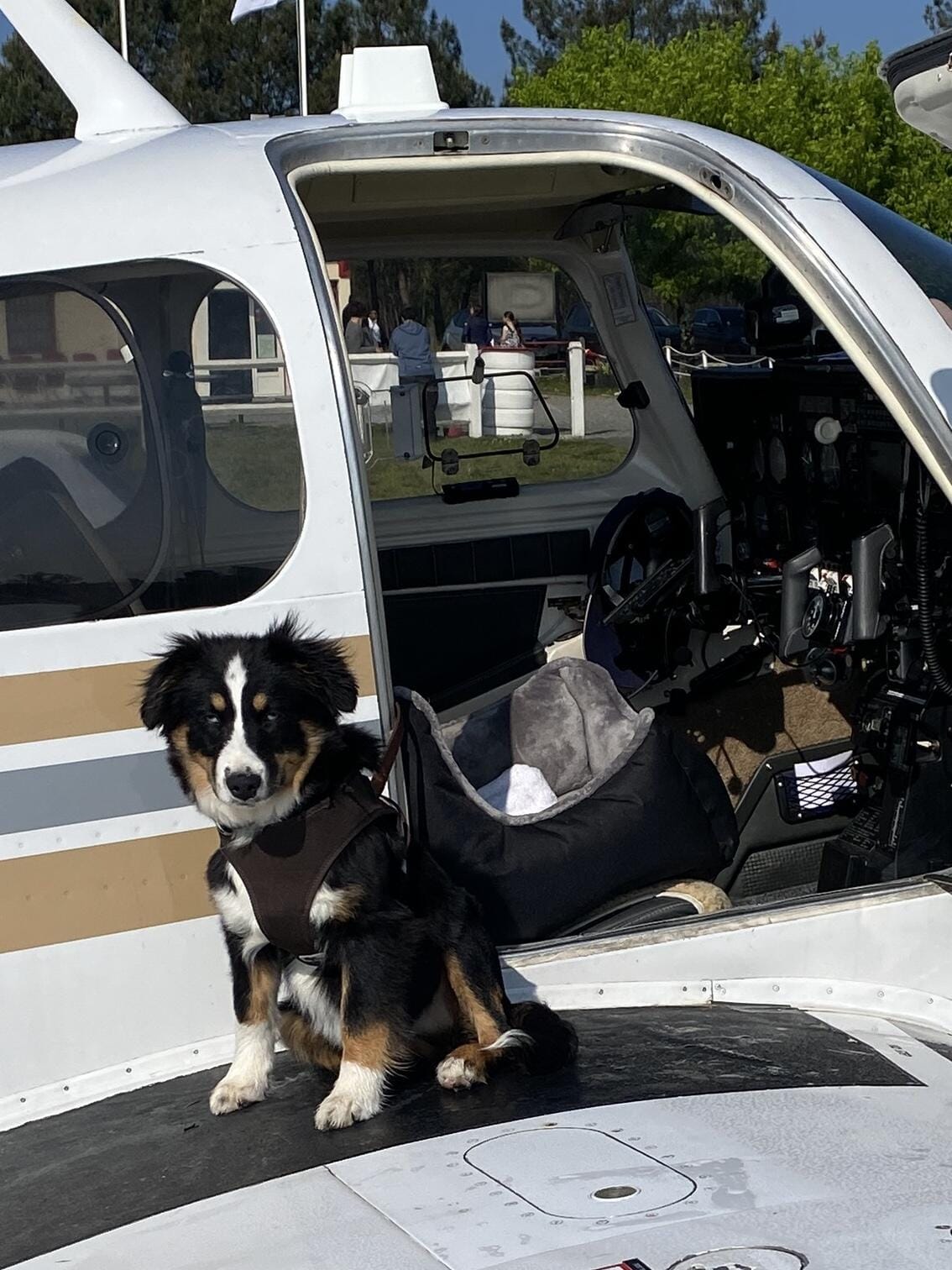 Hangelar to Mallorca 4./5.3.25 (Tank-Stop in Süd-Frankreich)