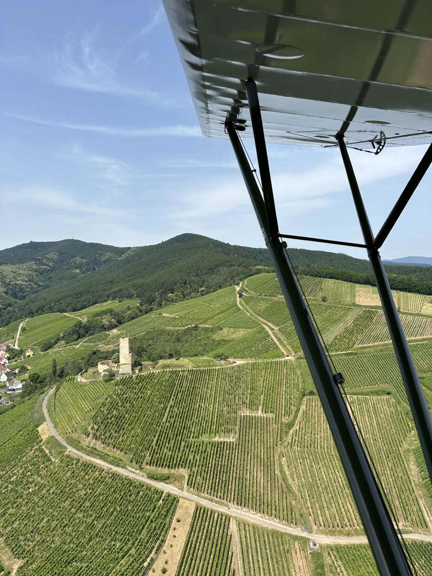 Piper L4 Grasshoppers