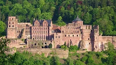 Frankfurt Weinstraße mit Burgen und Schlösser bis Heidelberg