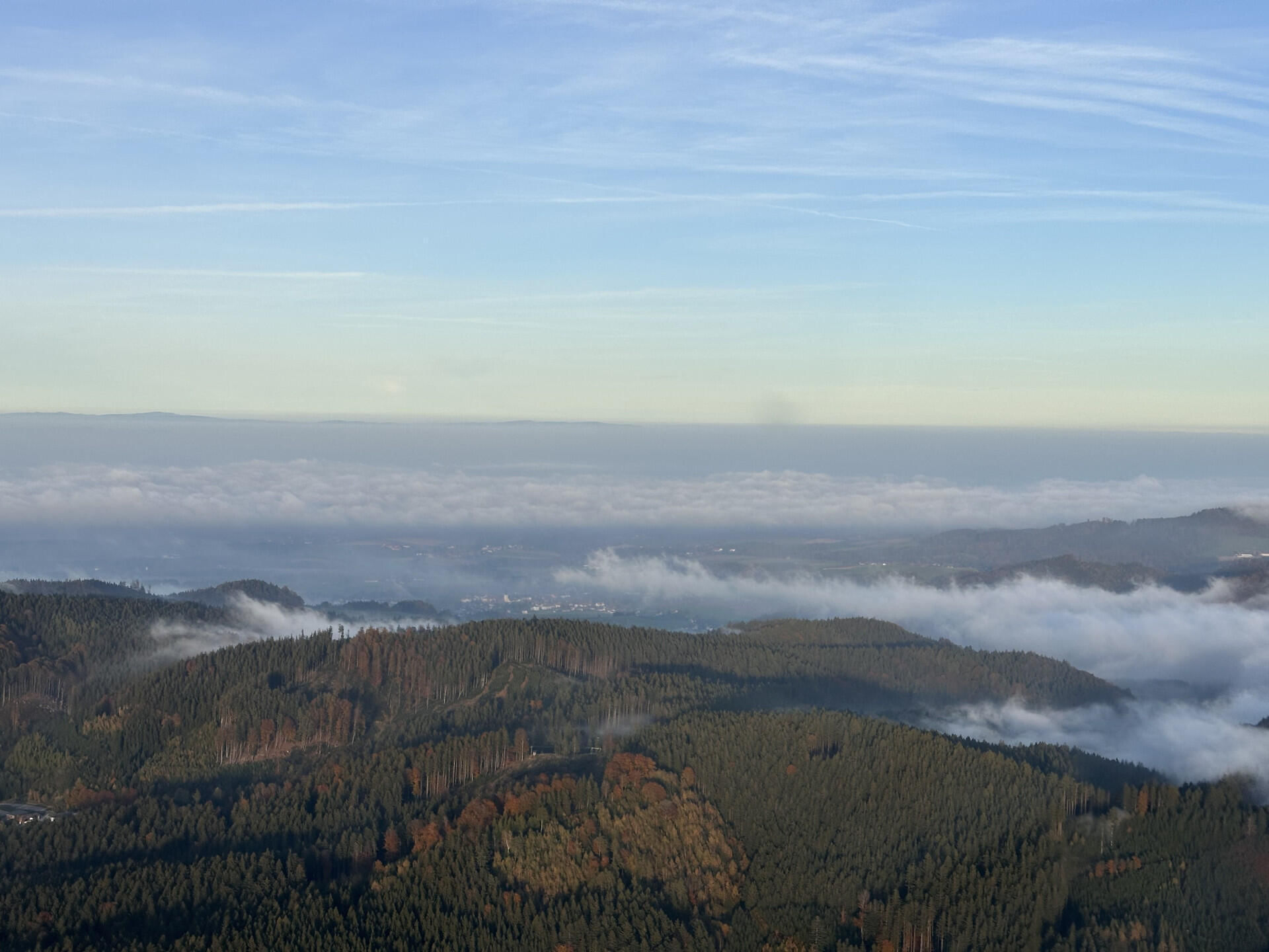 Herbstlicher Überflug - Ried