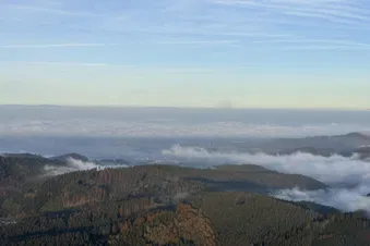 Herbstlicher Überflug - Ried