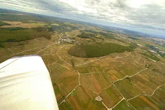 Vie du vignoble bourguignon