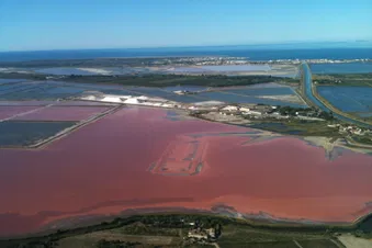 Vue des Salins du Midi