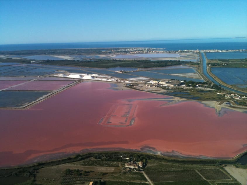 Découverte des Salins du Midi  | 1 passager