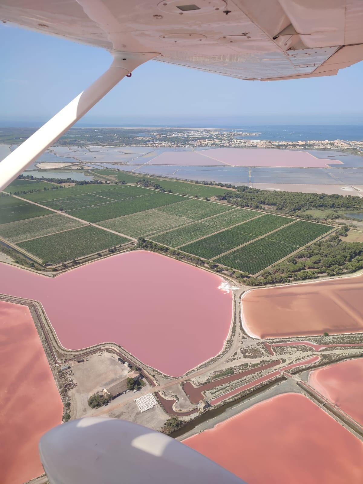 Marais Salant / Pink lake