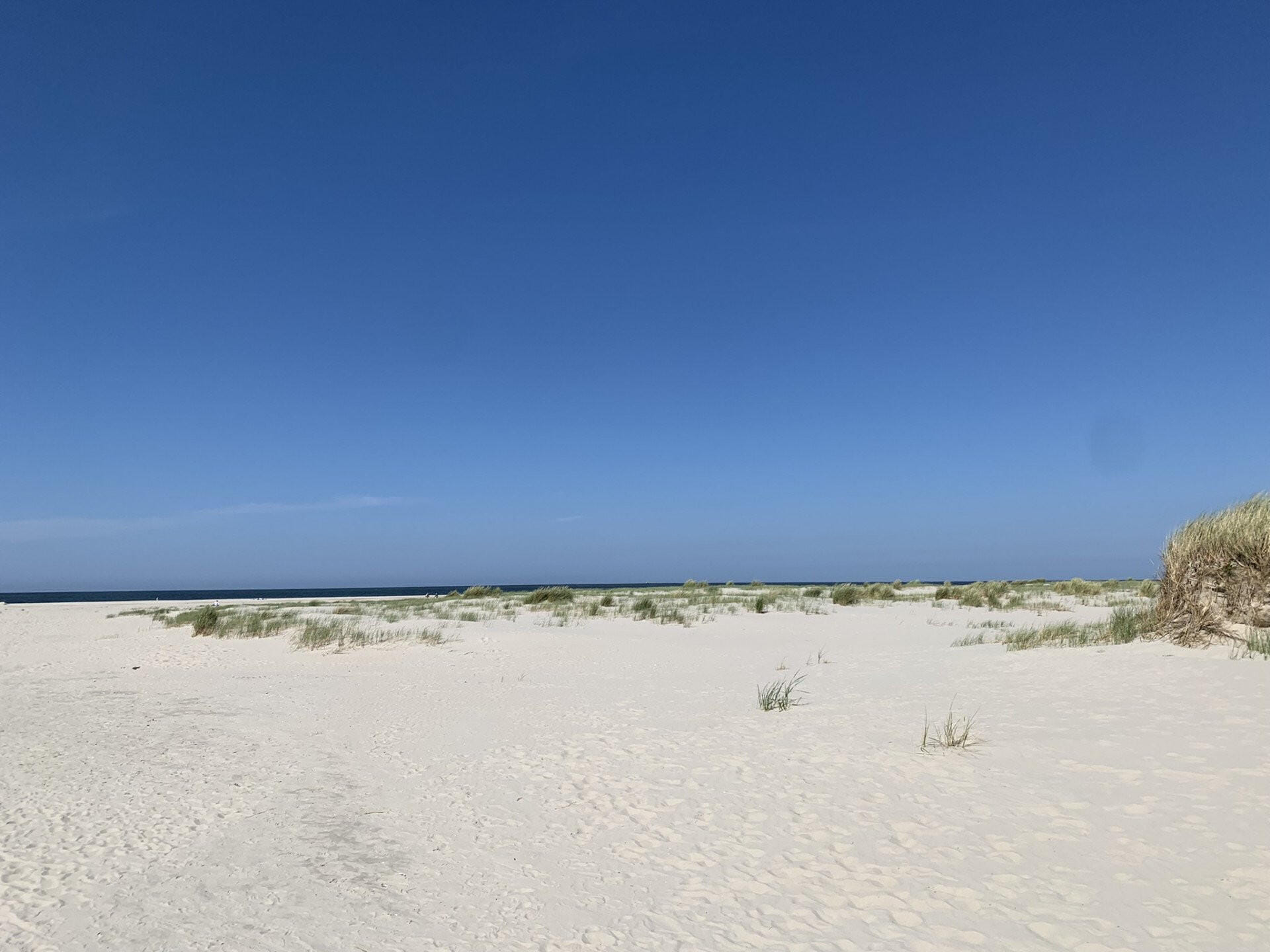 Einen Tag auf Texel