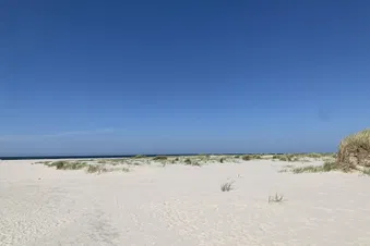 Einen Tag auf Texel