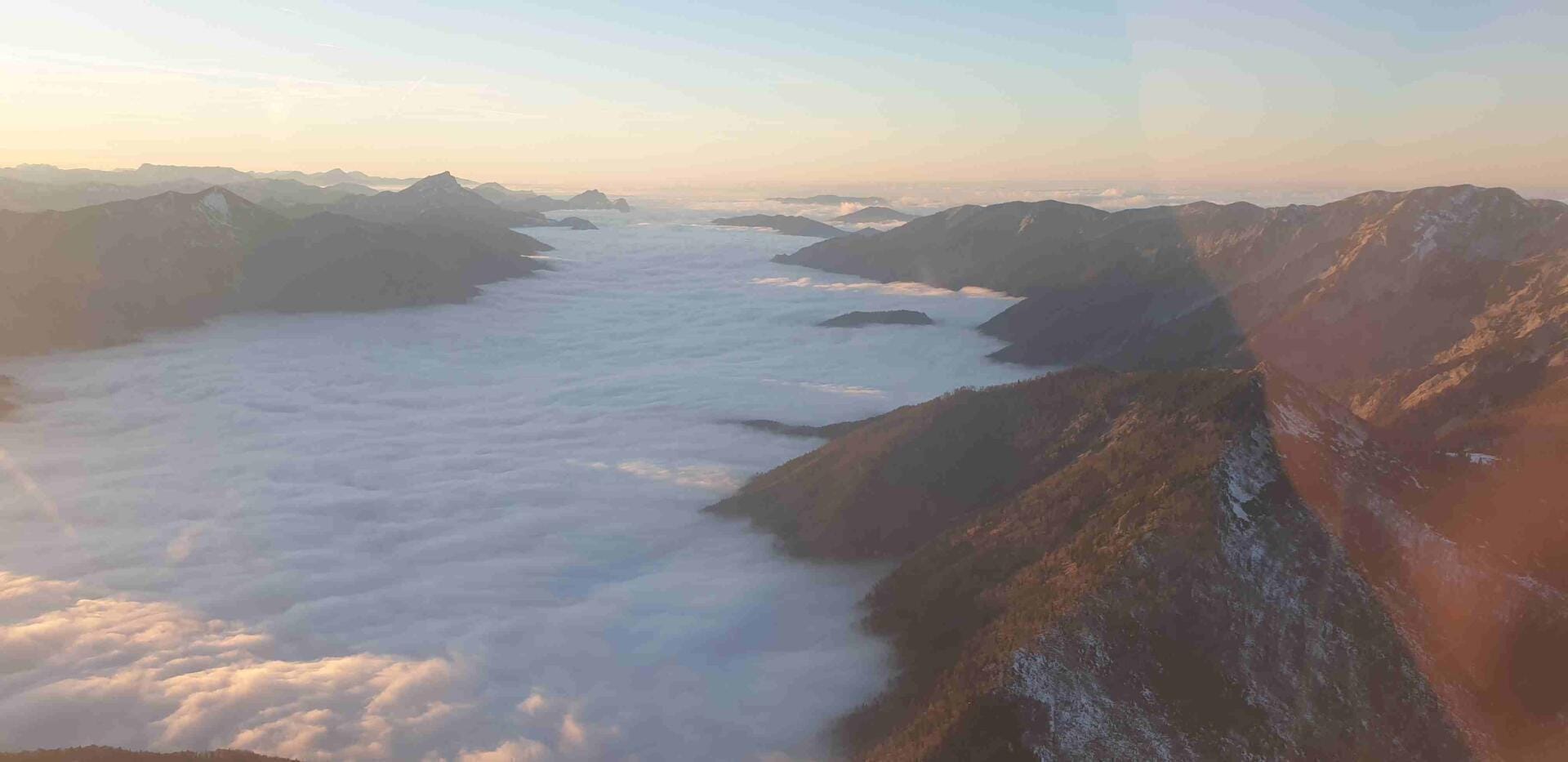 Frühsommerflug