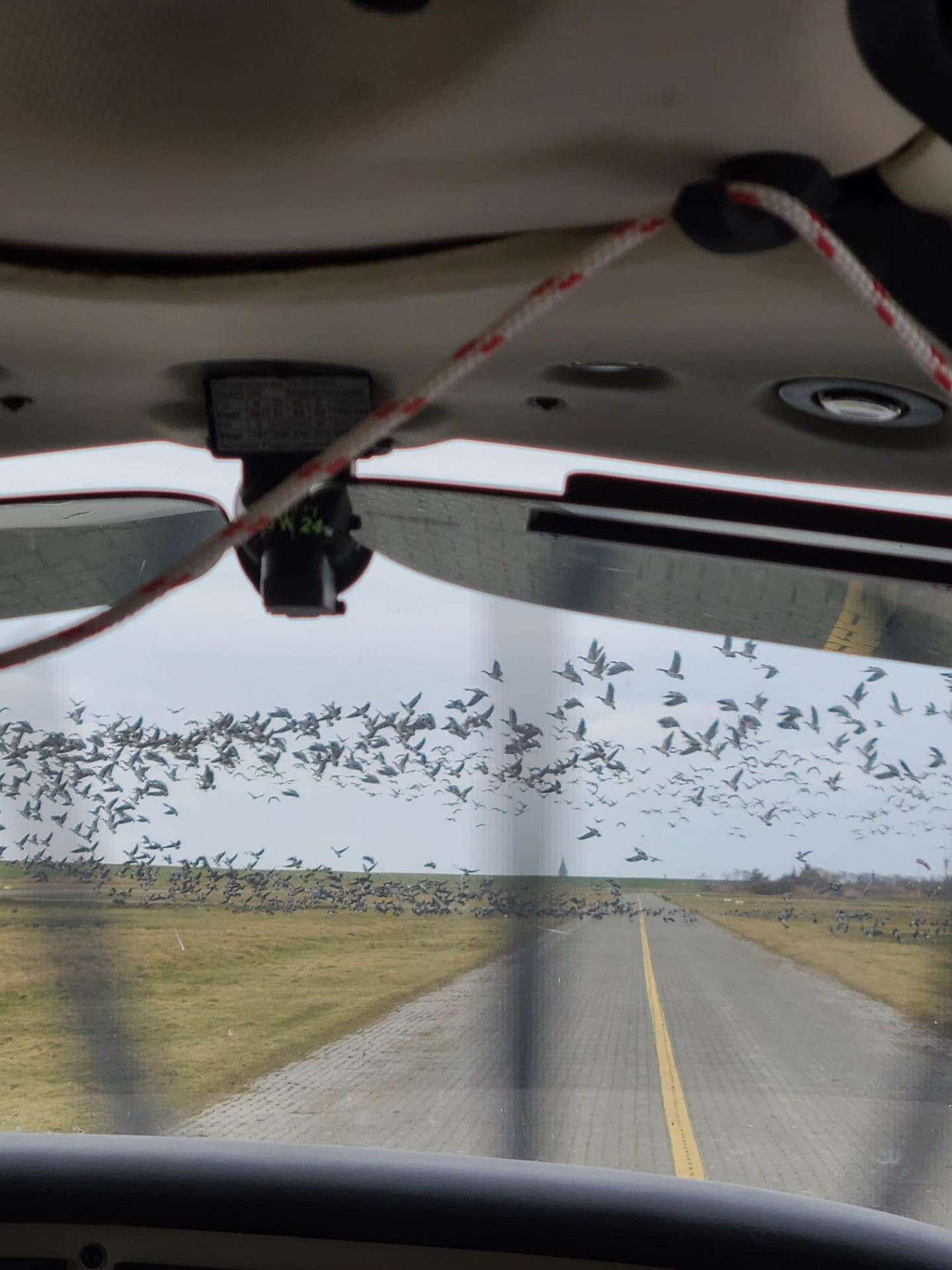 Ausflug auf die Nordseeinseln (3 P.)