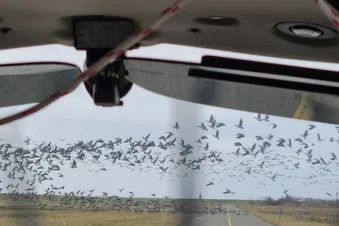 Ausflug auf die Nordseeinseln (3 P.)