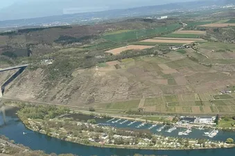 Mosel
