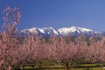 Plonger du Canigou dans la Méditerranée