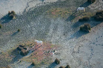 Survol du littoral - Réserve Naturelle de Camargue en hélico