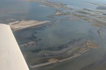 Grand Tour de Camargue : Étangs, Mer et Alpilles