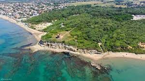 Sightseeing over the Roman Castles and Anzio coast