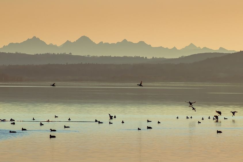 Rundflug Ammersee, 30 min, 1-Mot