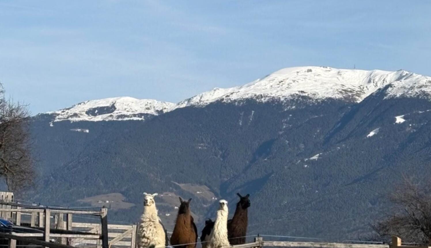 Almhüttenausflüge mit Aussicht und gutem Essen