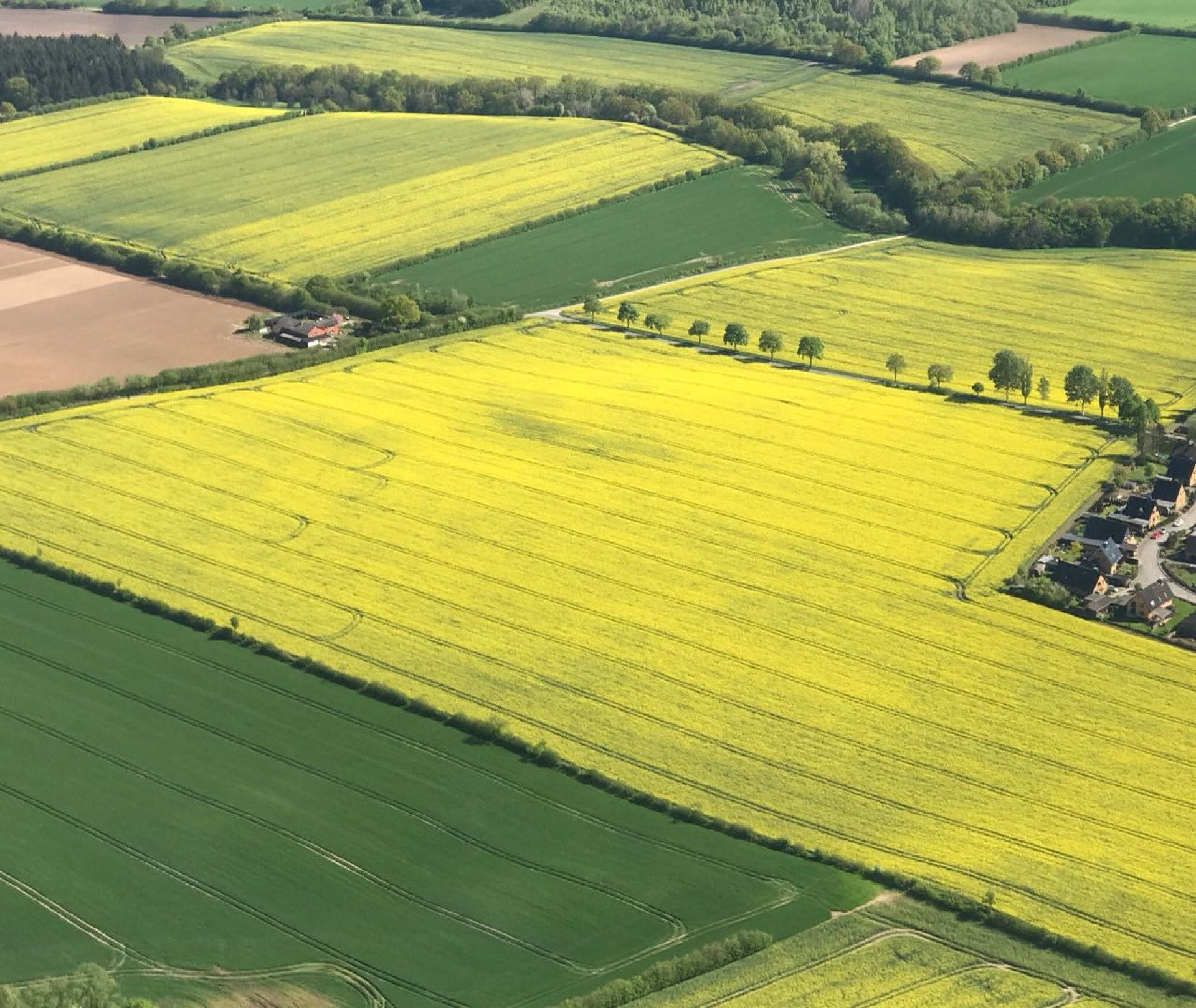 Rundflug über Hamburg und Südholstein