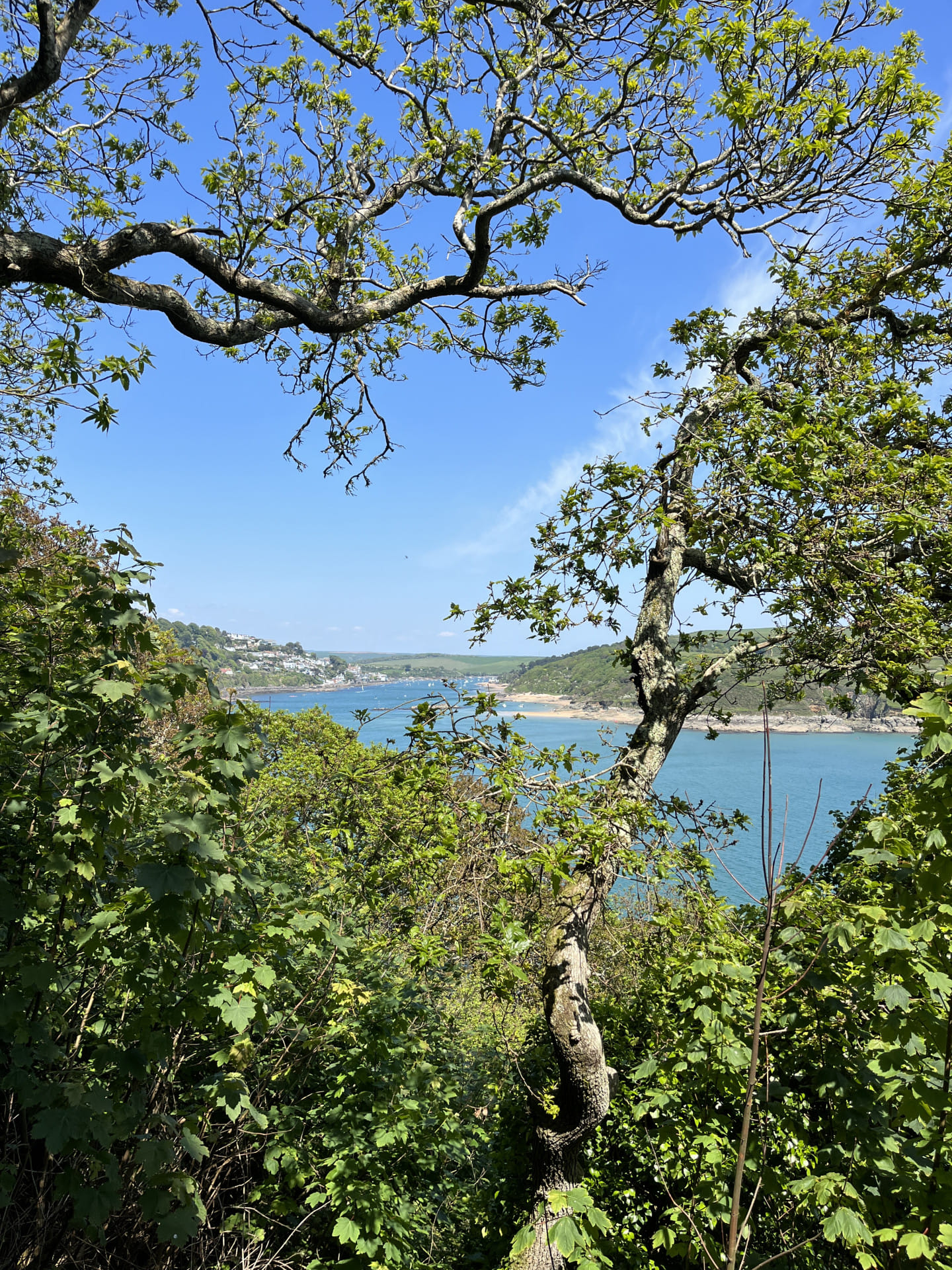 Fly to Salcombe Bolt Head in Devon for the day