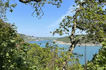 Fly to Salcombe Bolt Head in Devon for the day