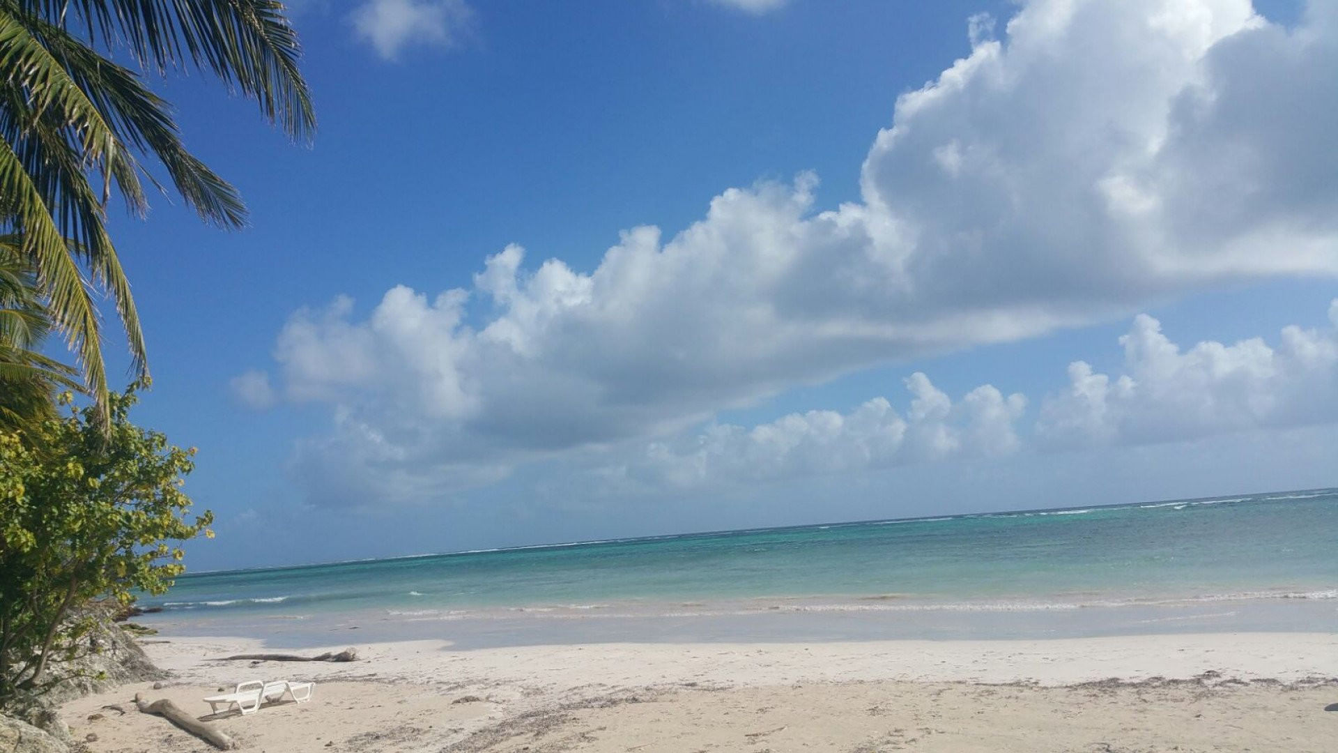 Petit vol découverte de la Martinique