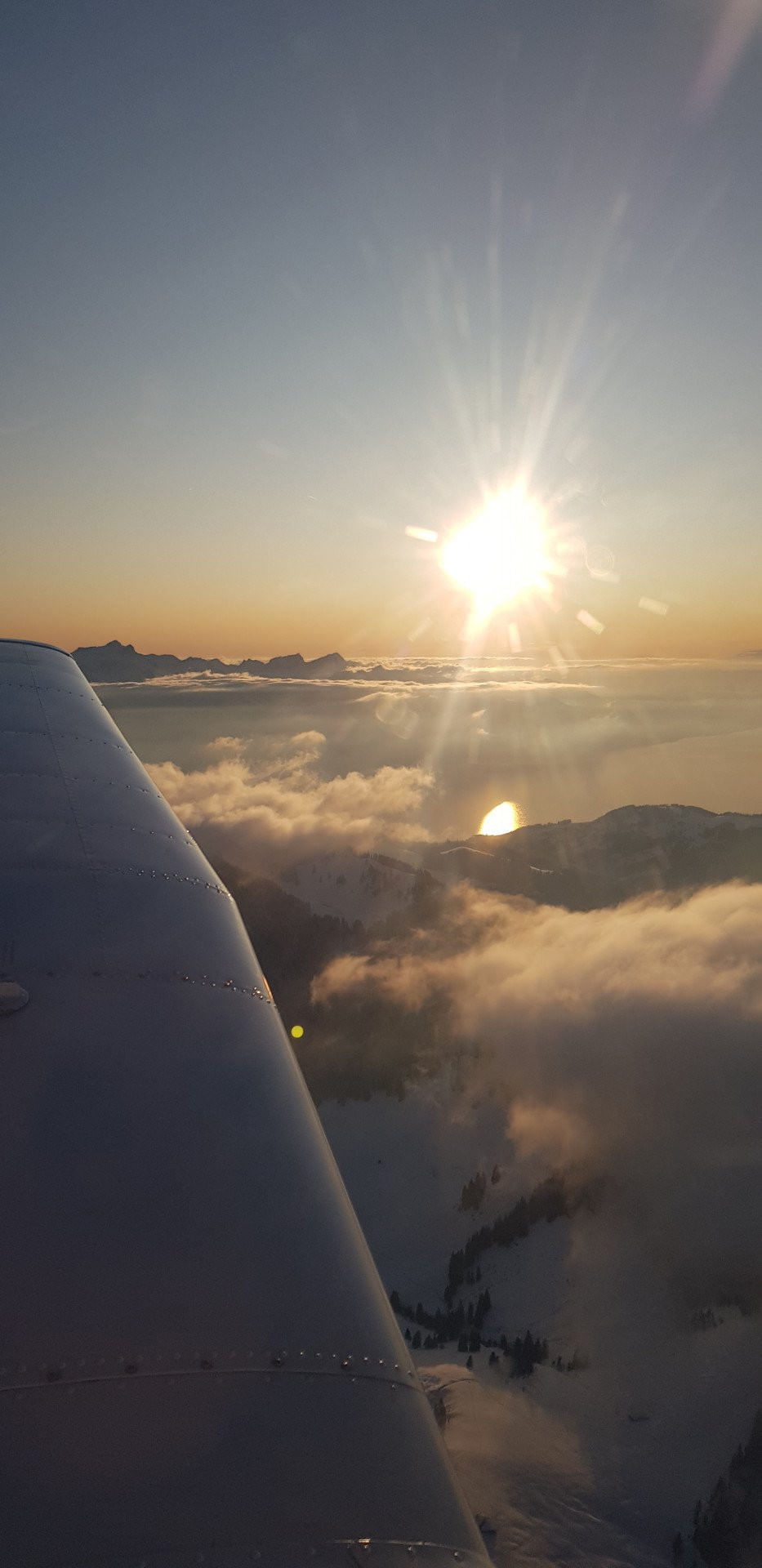 Vol dans les Alpes depuis Lausanne