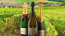 Day or overnight to explore the Champagne Region of France