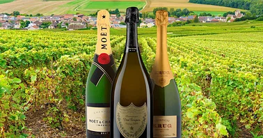 Day or overnight to explore the Champagne Region of France