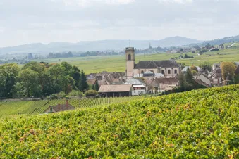 Les vignobles bordelais en Hélicoptère - 40 min
