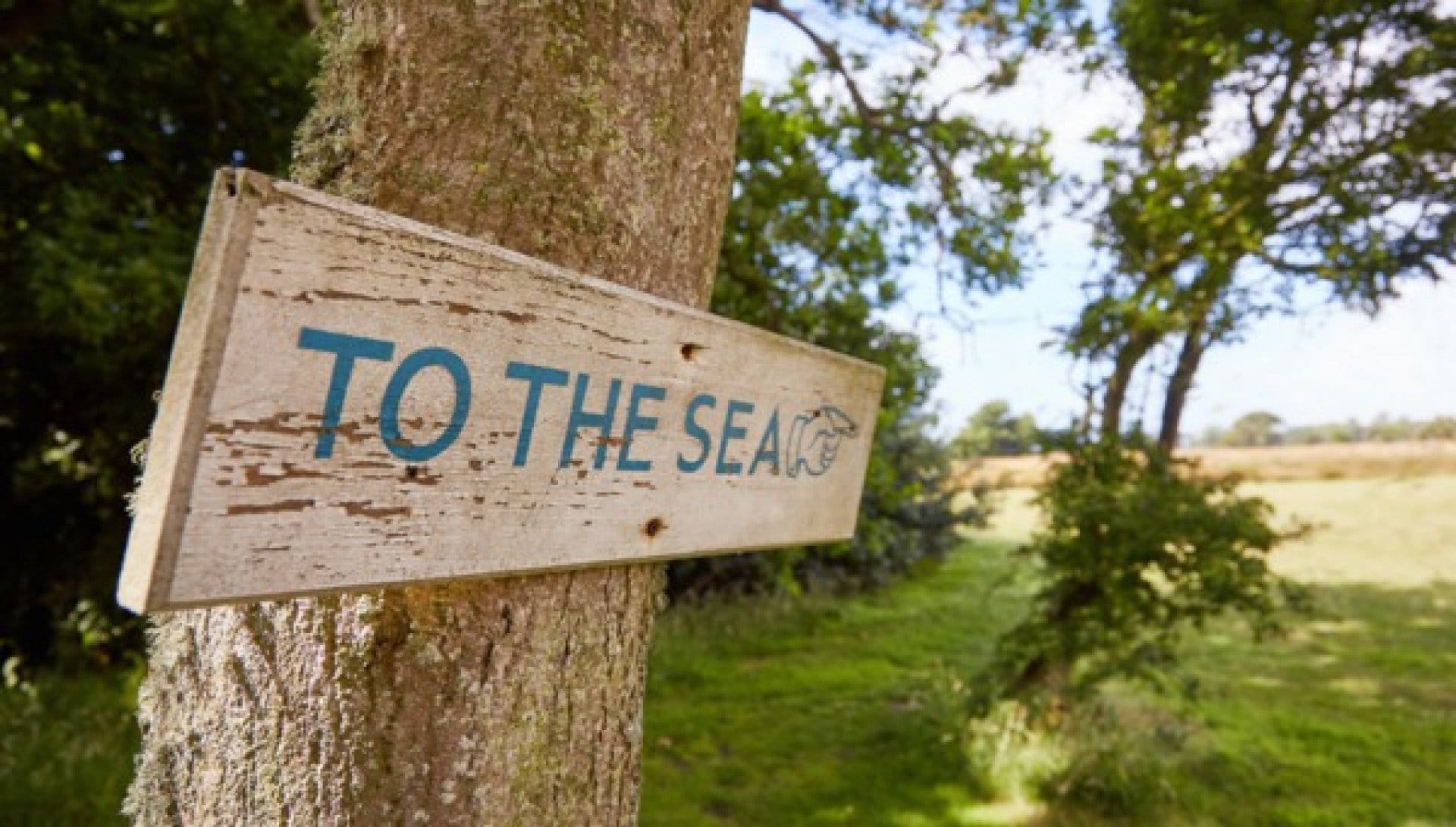 Helicopter flight to luxury Bailiffs Court Hotel