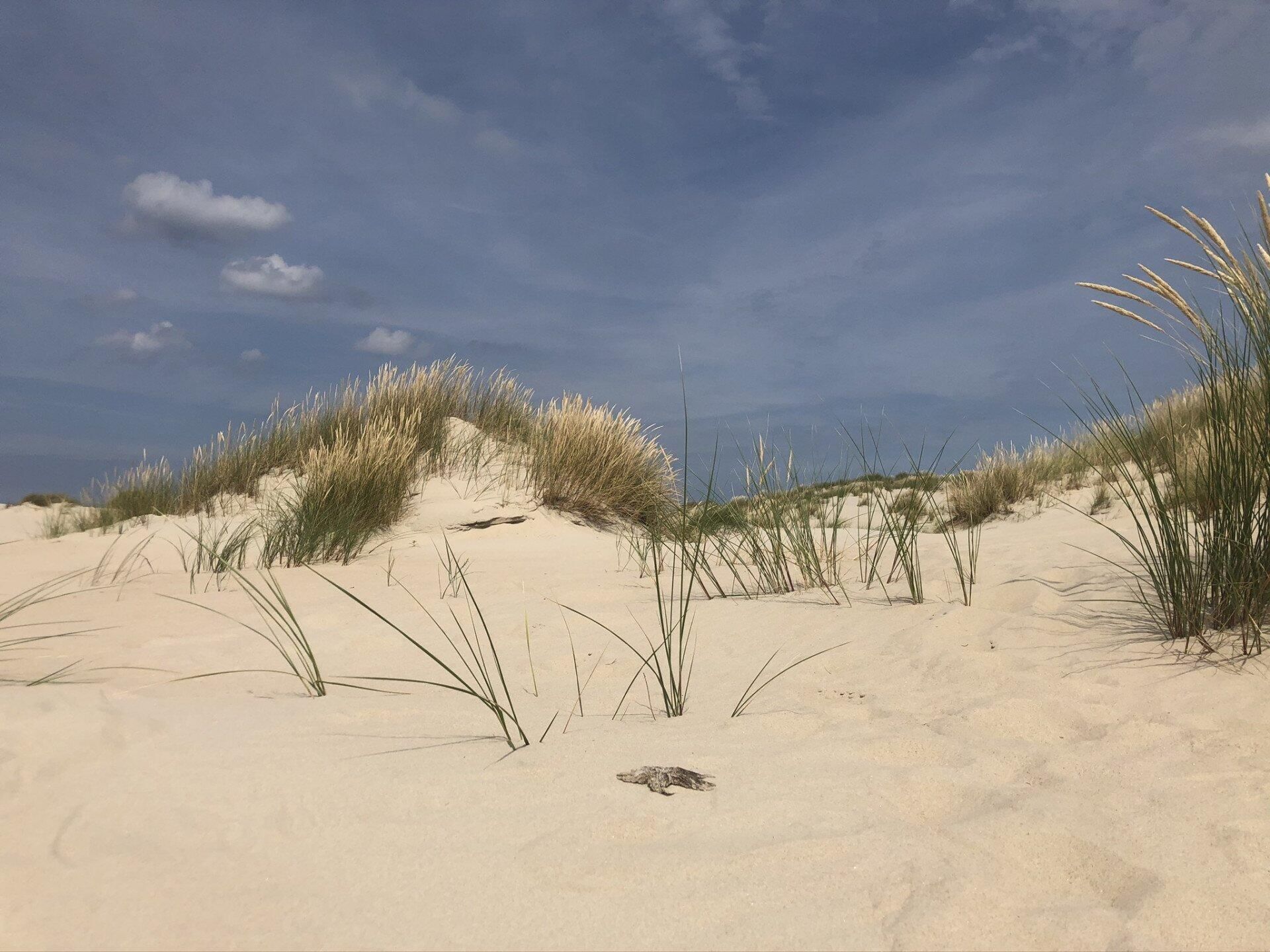Ein Tag am Meer - Flug nach Norderney