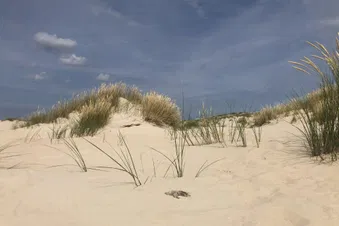 Ein Tag am Meer - Flug nach Norderney