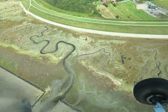 Ausflug nach Föhr (oder andere nordfriesische Insel)