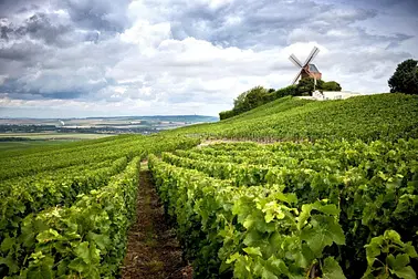 45 min autour du vignoble de champagne