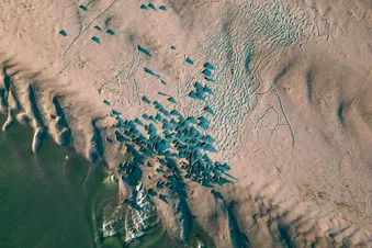 🦭🦭🦭 Expérience inoubliable, Baie de Somme en avion privé 🦭🦭🦭